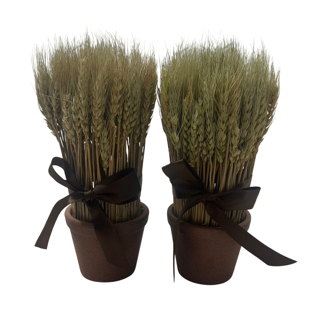 Set of 2 Dried Wheat Stalk Arrangements in Terracotta Pots Brown Ribbon Fall